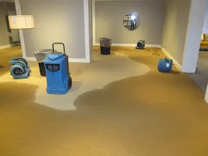 Dehumidifier and air movers running on a wet carpeted floor during a drying job in a Blue Ash home