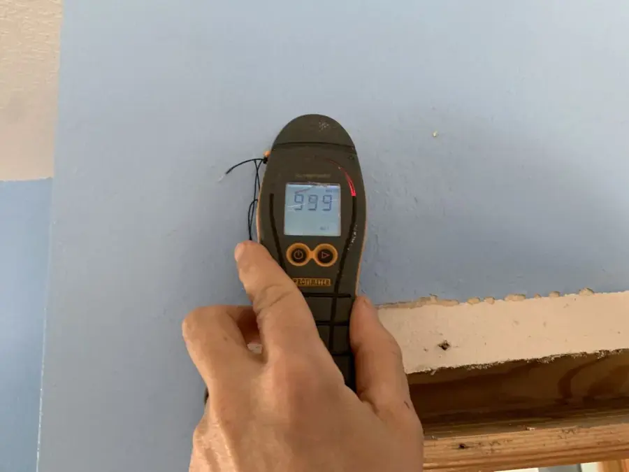 Moisture meter reading taken on a painted wall above a pulled baseboard during drying
