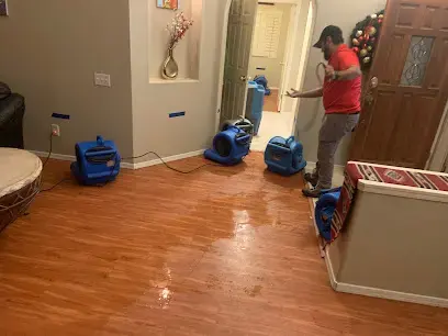 Air movers lined up on a wet laminate floor while a technician sets up drying in a living room