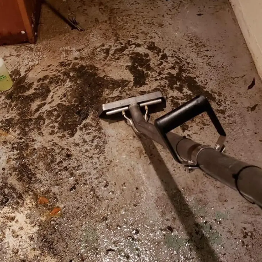 Extraction wand pulling muddy water out of soaked carpet in a West Chester home